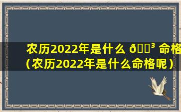 农历2022年是什么 🌳 命格（农历2022年是什么命格呢）